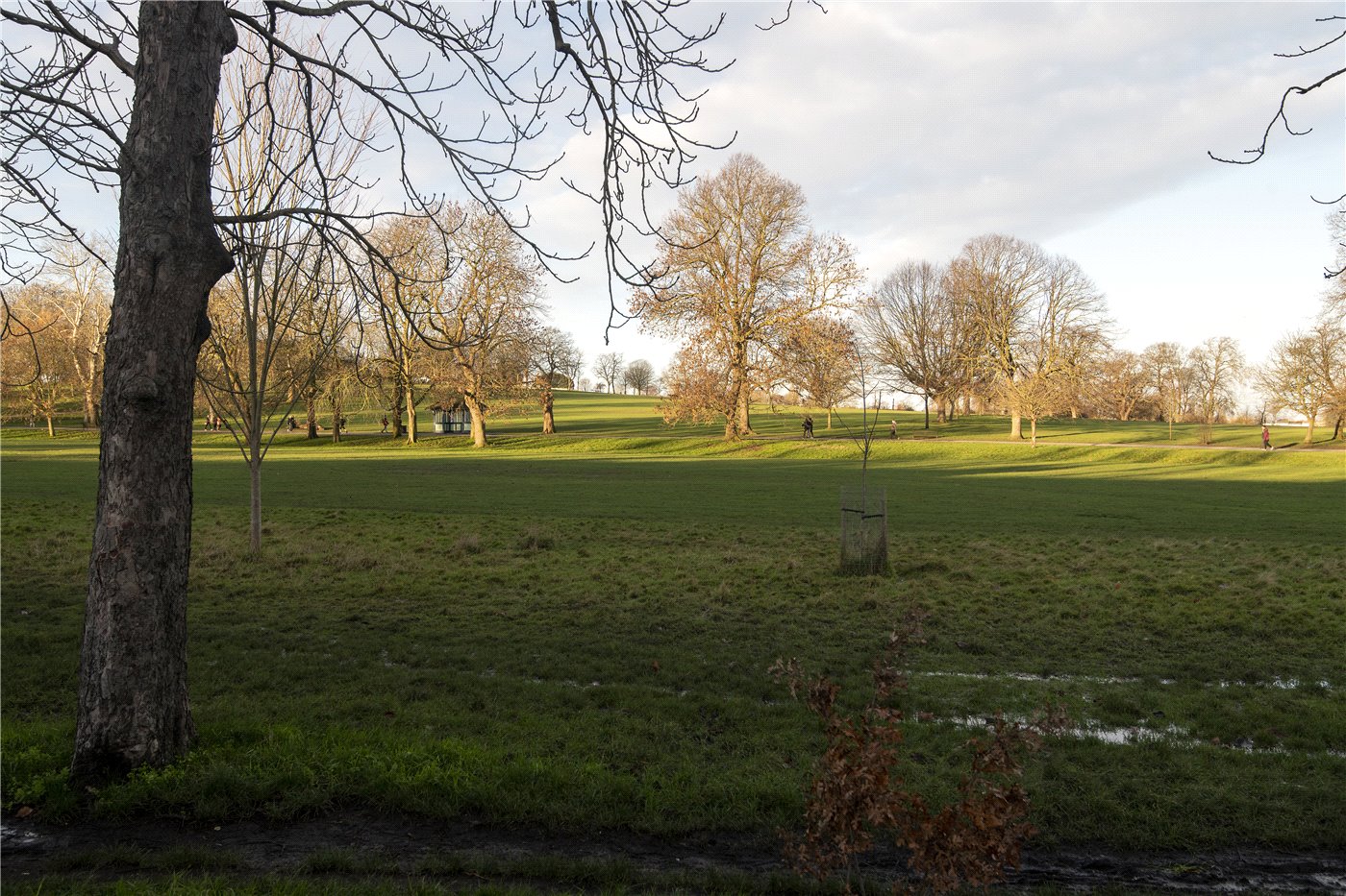 Park View